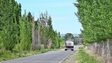 Caminos rurales en el Alto Valle: más de 240 km asfaltados impulsan la producción local