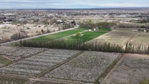 Centenario quiere ser la capital del agroturismo en Neuquén