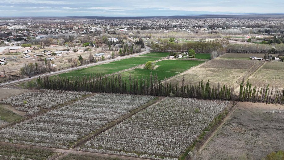Foto de Florencia Salto
