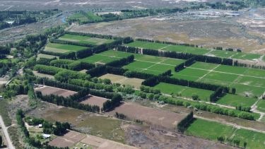 Transición agroecológica en municipios del Alto Valle: «Deja de ser una idea y empieza a ser una política local»