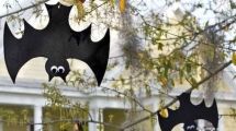 Imagen de ¿Qué significa que entre un murciélago en tu casa, según la IA, en vísperas de Halloween?
