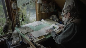 De Hungría a Neuquén, el pintor consagrado de 83 años que eligió el bosque patagónico: «Es mi lugar en el mundo»