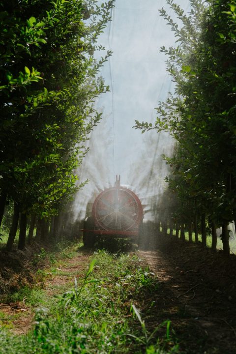 Pulverizadora de la empresa, en acción en Río Negro. Foto: gentileza Pazima.