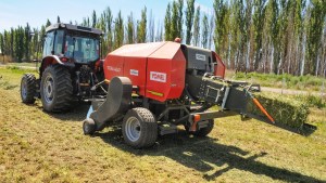 Exitosas jornadas forrajeras se realizaron esta semana en Valle Medio