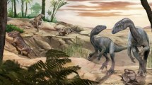 Imagen de Histórico hallazgo en La Rioja: descubren un dinosaurio de cuello largo, uno de los más antiguos del mundo