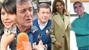 Río Negro elige senadores y diputados: qué dijeron Weretilneck, Villaverde, Confini, Tortoriello y López en la jornada electoral
