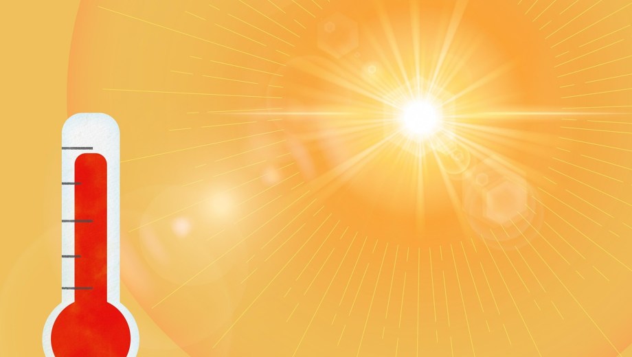 El cambio climático se está produciendo por el calentamiento global. 