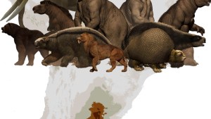 La megafauna dominó la dieta de los primeros sudamericanos