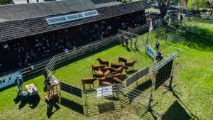 Expo Bovinos 2025 en Neuquén: un punto de encuentro para toda la comunidad rural