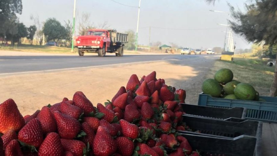 Frutillas en la ruta.