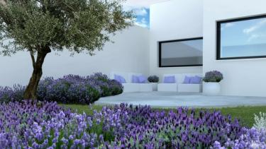 Ni jazmín, ni rosas: la planta ideal para sembrar en primavera y tener tu jardín perfumado todo el año