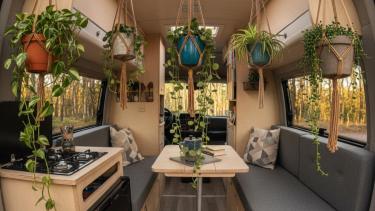 Verano 2025 sobre ruedas: las cinco plantas perfectas para decorar y purificar tu motorhome