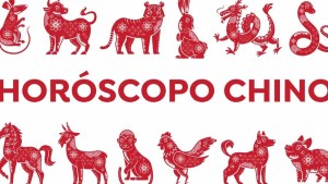 Los animales del horóscopo chino que deberán evitar conflictos en octubre de 2025 