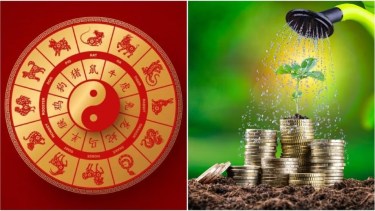 Prosperidad y abundancia económica: los 3 signos del horóscopo chino favorecidos por Marte en Escorpio