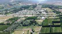 Imagen de Otro municipio del Alto Valle impulsa la venta directa de terrenos: conocé los detalles