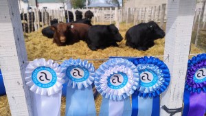 Expo Rural de Choele Choel: un combo de emoción, defensa de la barrera y visitas célebres