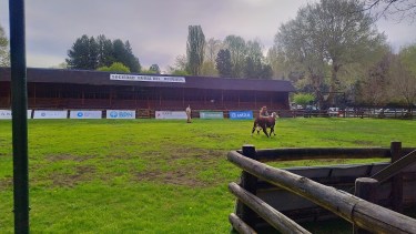 La Expo Bovinos 2025 ya comenzó con mucha actividad en los corrales en Junín de los Andes