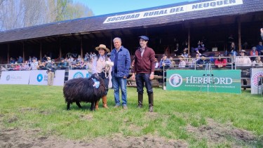 Sorpresa en Junín de los Andes, el gobernador de Neuquén dijo presente en la Expo Bovinos 2025 y hasta entregó premios