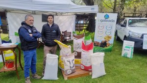 Nutrición animal: la clave para invertir poco y lograr un kilo de carne que cotice en alza en el mercado