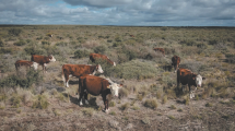 Imagen de Neuquén: Plan de choque contra la sequía en el campo y el riesgo de incendios