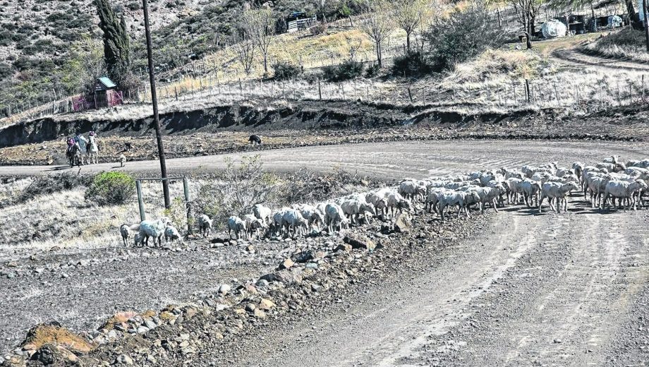 La falta de precipitaciones, acentuada en la cordillera. Foto: archivo. 