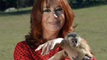 Predicciones de noviembre 2025: qué depara el Horóscopo Chino según Ludovica Squirru