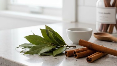 Hervir laurel y canela en casa: cuáles son sus beneficios y por qué lo recomiendan 