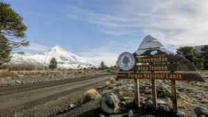 Estado y horarios de los pasos fronterizos a Chile: ¿cómo cruzar hoy desde Neuquén y Río Negro?