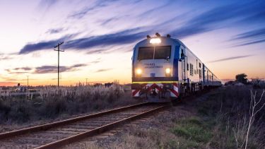 El tren más largo de Argentina en pausa, servicio suspendido: cuándo vuelve y cuánto sale viajar