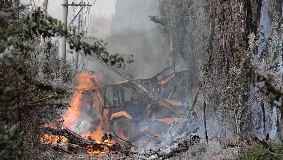 La caída de un árbol sobre los cables eléctricos provocó un incendio de pastizales en Cinco Saltos. (Foto: Oscar Livera)