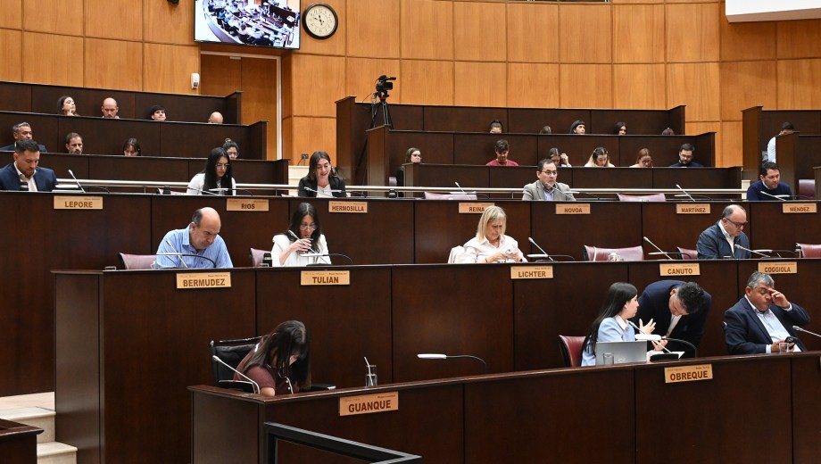 La Legislatura deberá aprobar el proyecto que envió el TSJ para hacer operativa la adaptación. Foto Florencia Salto.