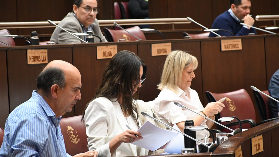 La Legislatura aprobó la conformación de un nuevo bloque. Foto: archivo Matías Subat. 