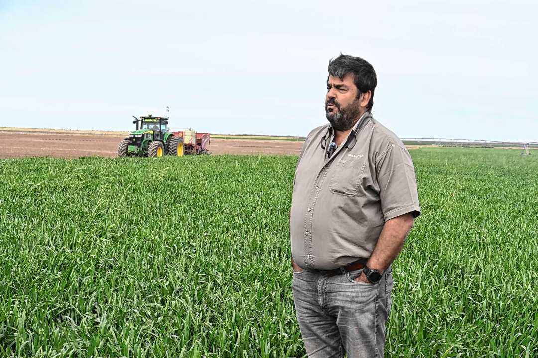 Martín Pasman está entre los mayores productores de papas de Argentina. Foto: Juan Thomes.
