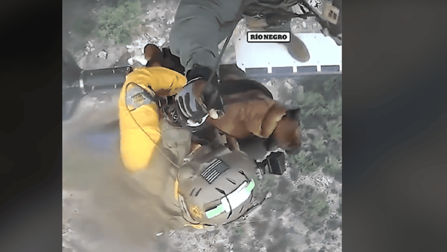 Perrito rescatado en helicóptero. 