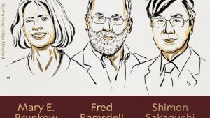 El Premio Nobel de Medicina 2025 fue para tres investigadores del sistema inmunitario