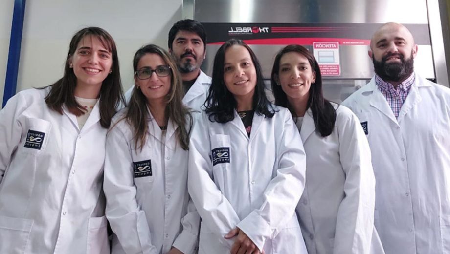 El estudio, realizado entre La Pampa y San Luis, propone una alternativa verde para la detección de micotoxinas en alimentos de consumo masivo. Foto gentileza becaria. 
