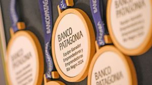 Emprender en Río Negro, la fuerza de las ideas que transforman: ya están los ocho finalistas