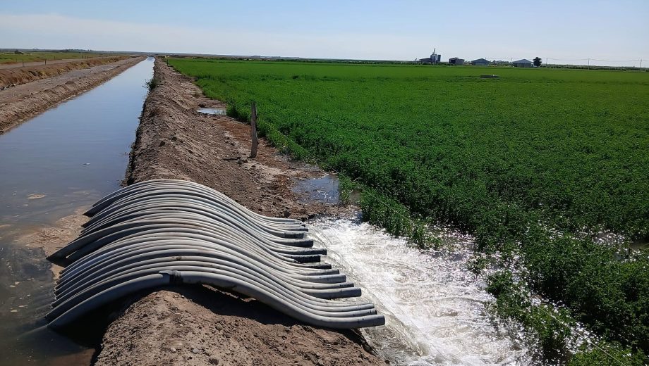 Riego en Río Negro. Foto: gentileza Joaquín Imaz.
