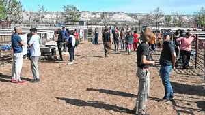 Expo Rural del Alto Valle: un sábado ventoso, pero la gente de campo no afloja