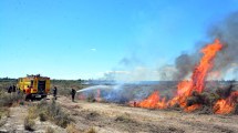 Imagen de Incendios de campos: preocupa la situación en Valle Medio, Valle Inferior y Río Colorado