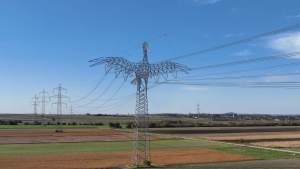 Austria se suma al diseño de líneas de alta tensión con forma de animales