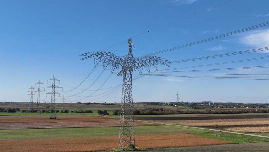 Austria ya tiene aprobados los primeros diseños de torres de energía eléctrica con forma de animales locales.