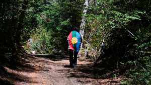 Condenan a una comunidad mapuche a restituir un lote que le despojaron a Emanuel Ginóbili, en Villa La Angostura