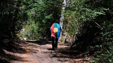 Condenan a una comunidad mapuche a restituir un lote que le despojaron a Emanuel Ginóbili, en Villa La Angostura