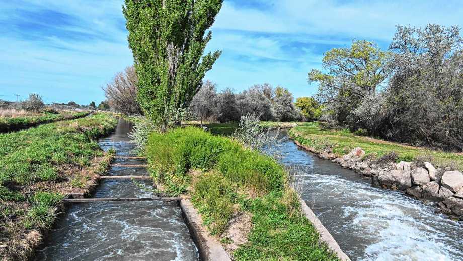 El sistema de riego en Valle Azul. (Foto: Juan Thomes)