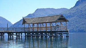 Los áboles que duermen bajo el agua fría del Lago Traful: un paseo por en Bosque Sumergido