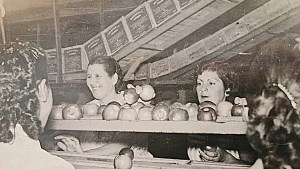 “El Cipoleño”: vestigios de una cooperativa que creció en tiempo de galpones