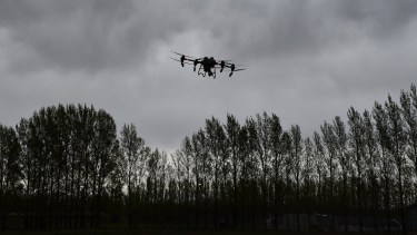 Todo lo que querés saber sobre los drones para la fruticultura: precios, modelos y cuál es su potencial de uso