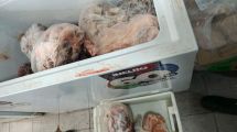 Imagen de Secuestraron dos toneladas de carne en mal estado en Cipolletti: gran operativo en 25 locales de la ciudad