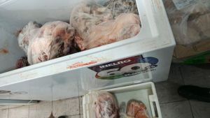 Secuestraron dos toneladas de carne en mal estado en Cipolletti: gran operativo en 25 locales de la ciudad